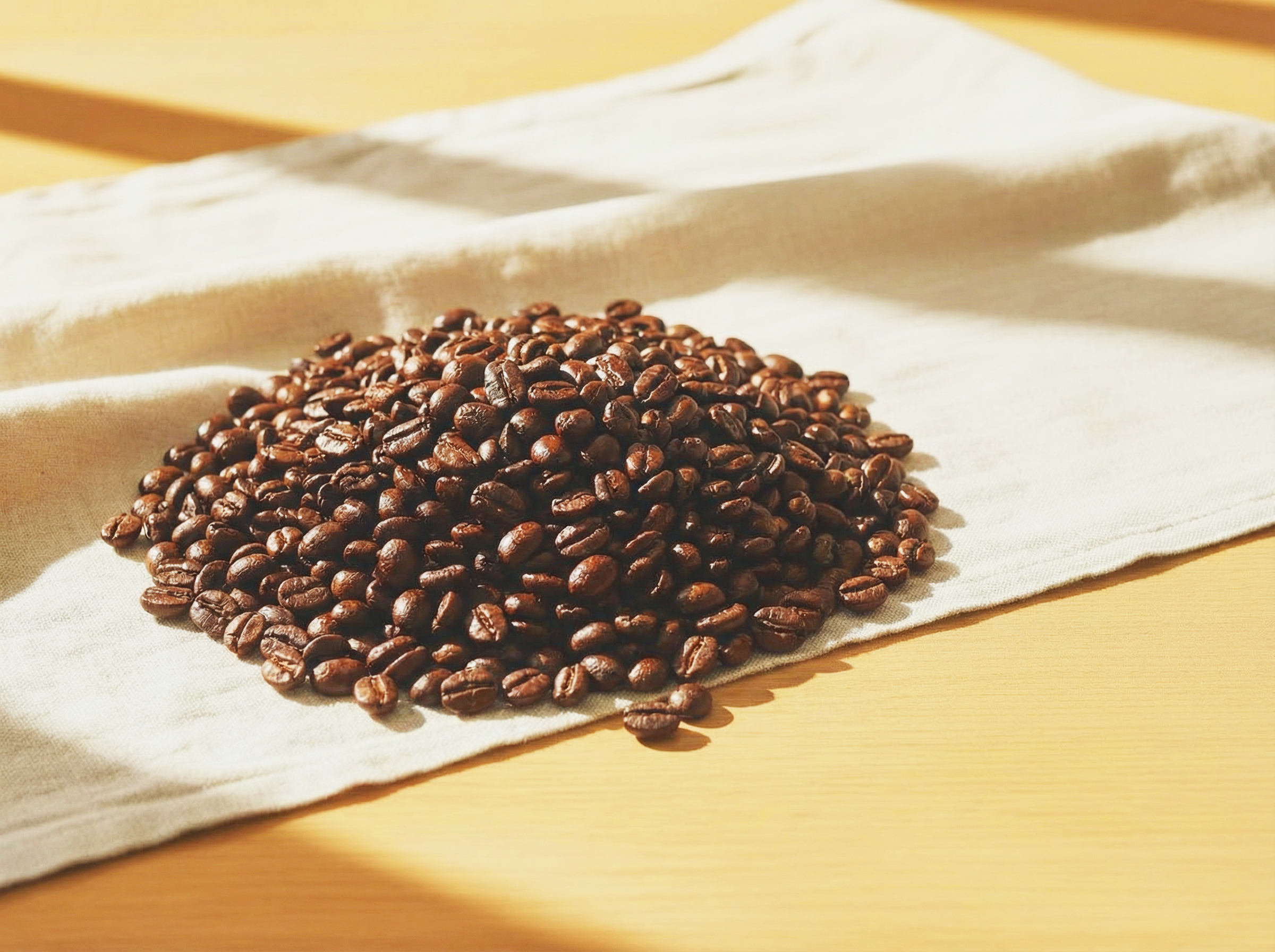 タンザニア キリマンジャロの豆